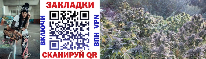 Купить наркотик Киров Канабис  Галлюциногенные грибы  ГАШИШ  СОЛЬ  Меф мяу мяу  Кокаин 